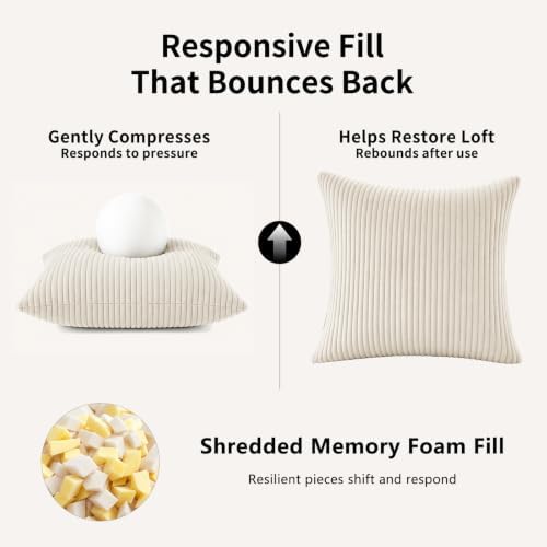 2 Pack 18 x 18 Decorative Throw Pillows with Insert Included