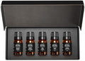 AirScent Holiday Diffuser Oil Fall Fireside 10 mL 5 Pack Gift Set