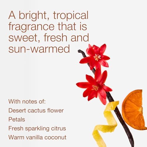 Bath & Body Works 3-Wick Candle, Cactus Blossom, Soy Wax Blend