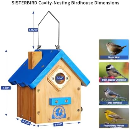 SISTERBIRD Birdhouses for Outdoors, Blue Hanging Wren House, Warming Gifts