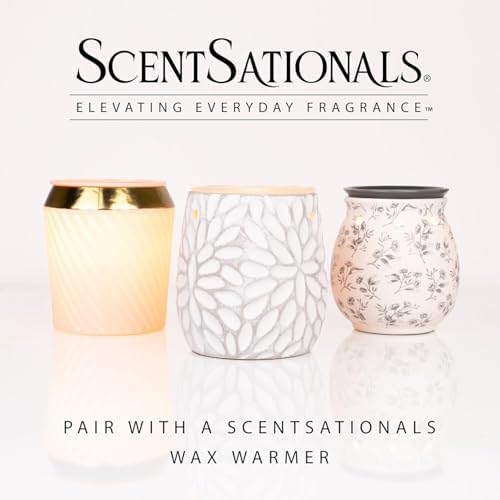 Scentsationals Fallen Leaves, Autumn Air Fall Wax Melts 10oz (24 Cubes)