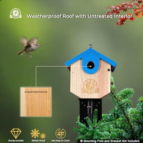 SISTERBIRD Wren Bird Houses for Outside, Bird House Warming Gifts, Blue