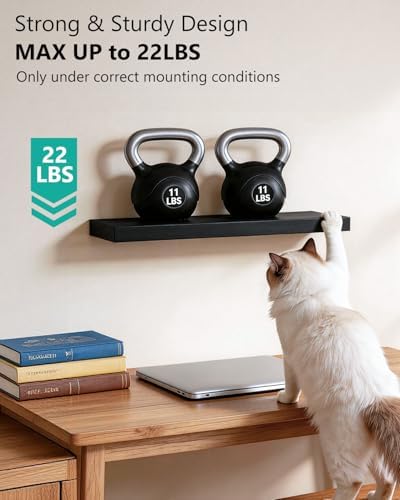 WALI Floating Shelves for Wall, 2 Tier Bathroom Storage Shelf Over Toilet, for Bedroom Bookshelf, Living Room Decor, Kitchen, Nursery, Laundry, Soundbar Floating Shelf Mount Under TV (CS102L), Black