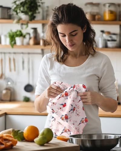 Miss Adola Cute Kitchen Towels Set of 2, 18 x 26 Inch, Winter Birds