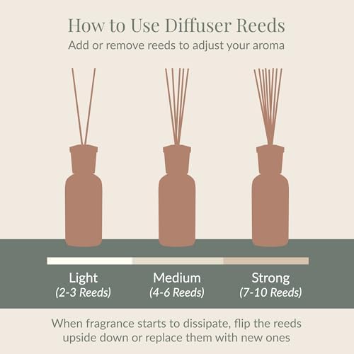 Archipelago Botanicals Black Forest Reed Diffuser, 7.85 fl oz