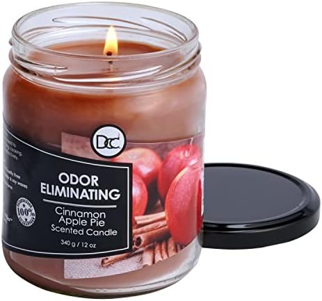Cinnamon Apple Pie Odor Eliminating Highly Fragranced Candle - Eliminates 95% of Pet, Smoke, Food, and Other Smells Quickly - Up to 80 Hour Burn time - 12 Ounce Premium Soy Blend