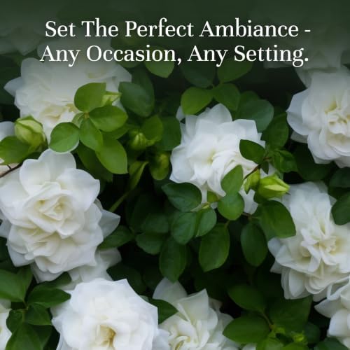 P&J Fragrance Oil Gardenia 30ml - Candle Scents, Soap Making, Diffuser Oil, Aromatherapy