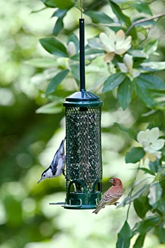 Squirrel Buster Mini Truly Squirrel-Proof Bird Feeder