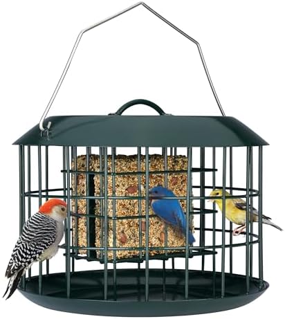 Kingsyard Squirrel Proof Suet Feeder, Cage Bird Feeders for Outdoors Hanging, All Metal, Double Suet Cake Capacity, Tray & Weatherproof, Green
