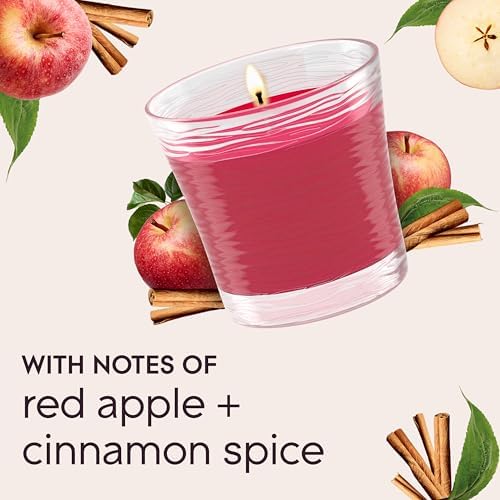 Glade 1-Wick Scented Candle Jar, Apple Cinnamon, 2 Count