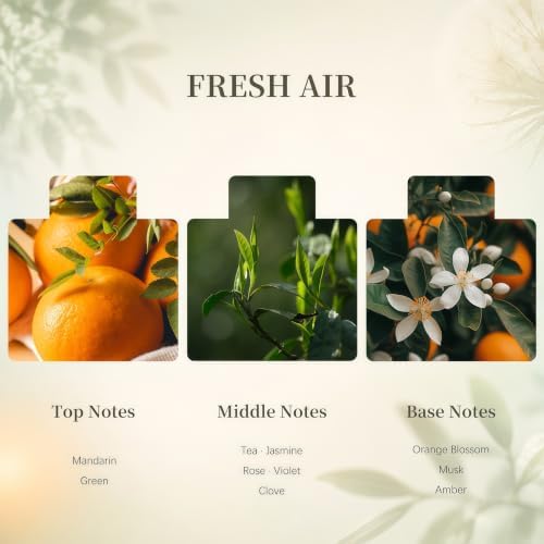 Airkeep Flower Reed Diffuser Set, Fresh Air Diffuser Set, 5.07 Fl.oz (150ml), Home Fragrance, Bathroom, Bedroom & Home Décor, Air Freshener