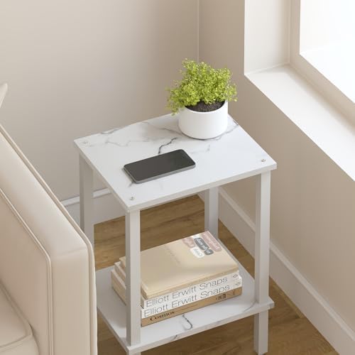 TUTOTAK End Table, Set of 2, Side Table, Nightstand, 2-Tier Storage Shelf