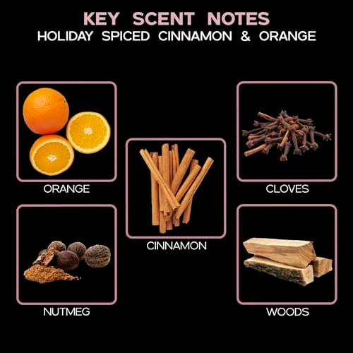 Reed Diffuser Set - Spiced Pomander Scented Diffuser with Sticks
