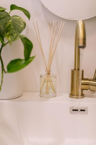 Brooklyn Candle Studio Brooklyn Reed Diffuser, Sage & Cassis, 4.4oz