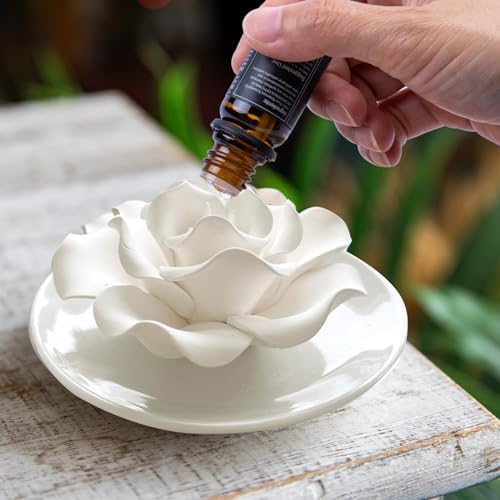 Passive Diffuser for Essential Oil-Ceramic Diffuser Non Electric Oil Diffusers for Small Mini Room, Desk Decorative, Bathroom (Impatiens)