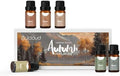 JCLOUD Fall Fragrance Oils Set, Autumn Scented Oils Gift Set, 6x10mL