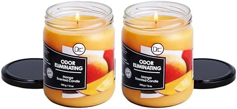 Mango Two Pack Odor Eliminating Highly Fragranced Candle - Eliminates 95% of Pet, Smoke, Food, and Other Smells Quickly - Up to 80 Hour Burn time - 12 Ounce Premium Soy Blend
