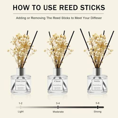 Reed Diffuser Set of 3 Pack,Citrus,Clean Linen,Ocean Scented Oil Diffuser with 12 Sticks,Reed Diffuser for Home Living Room Office Bathroom Air Freshener,50ml x 3