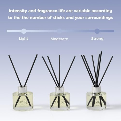 Reed Diffuser Set,Bamboo White Tea Scented Oil Diffuser,100ml x2