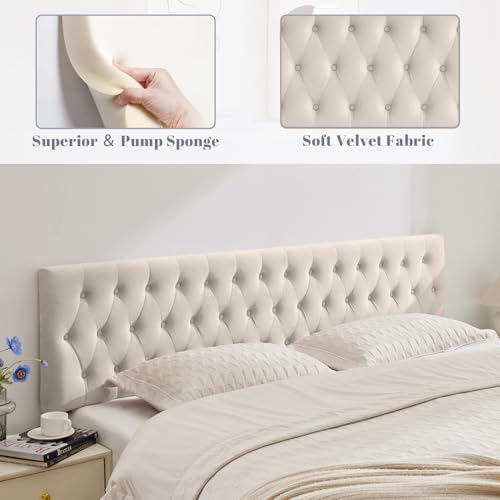 Kingfun Cal King Headboard only, Premium Velvet Upholstered Headboards in Modern Button Design, Tufted Bed Headboard, Adjustable Solid Wood Head Board (Beige)