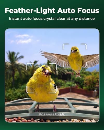 Solar Bird Feeder with Camera, 4K Auto Focus, Kiwibit Bird Feeder 2 Pro