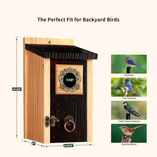 SISTERBIRD 2 Pack Bluebird Houses for Outside, Blue Bird House Warming Gift