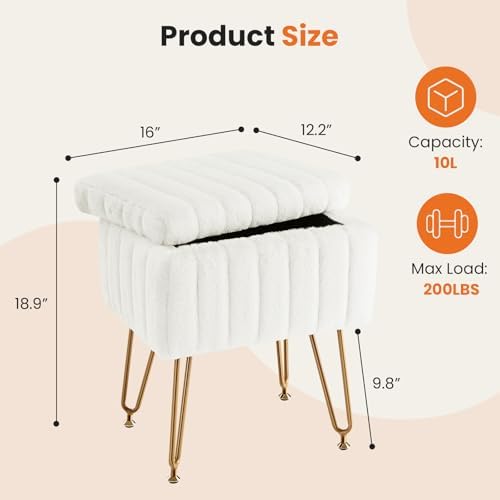 DUMOS Vanity Stool Chair, Ottoman with Storage for Living Room, Bedroom