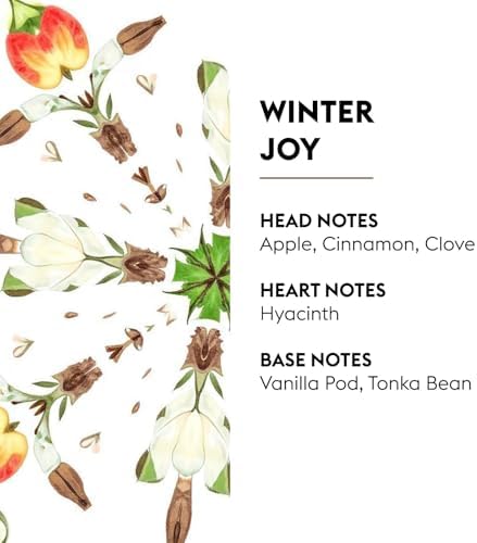MAISON BERGER Lampe Berger Refill, 500 ml, Winter Joy