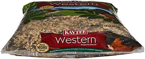 Kaytee Western Regional Wild Bird Seed, 7 lb (Pack of 2)