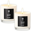 Lulu Candles | Ocean Breeze | Luxury Scented Soy Jar Candle | Hand Poured in The USA | Highly Scented & Long Lasting (9 Oz. 2 Pack)