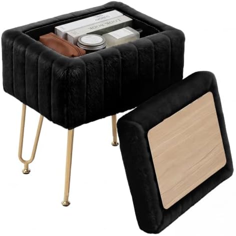 DUMOS Vanity Stool Chair, Ottoman with Storage for Living Room, Bedroom