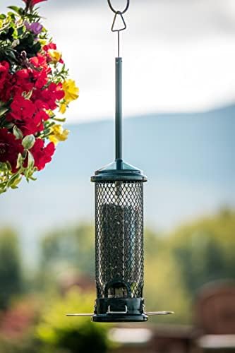 Squirrel Buster Mini Truly Squirrel-Proof Bird Feeder