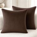 2 Pack 18 x 18 Decorative Throw Pillows with Insert Included