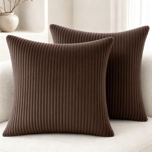 2 Pack 18 x 18 Decorative Throw Pillows with Insert Included