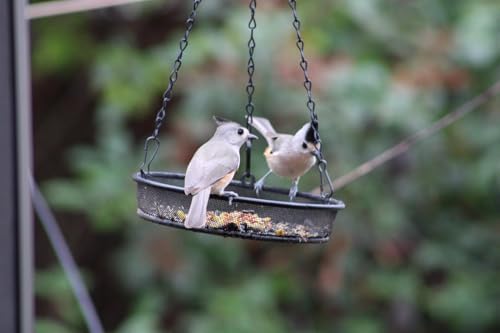 Bird Feeder, Hanging Platform Bird Feeder, Mesh Tray