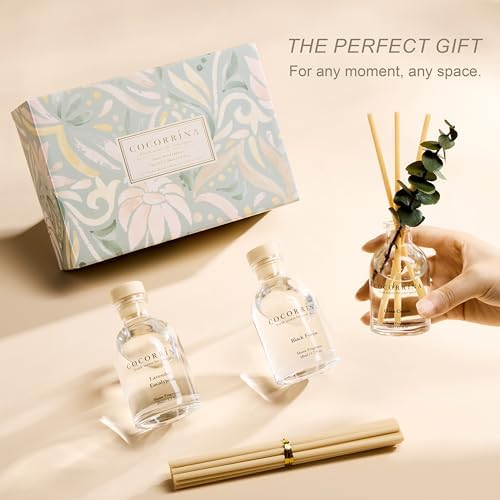 COCORRÍNA Reed Diffuser Set of 3 with Dried Eucalyptus for Home & Office