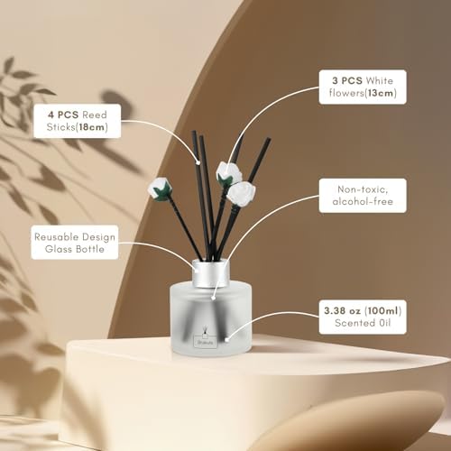 Brakula 2 Pack Reed Diffuser Set, Eucalyptus & Mint Scent, 6.76 fl oz
