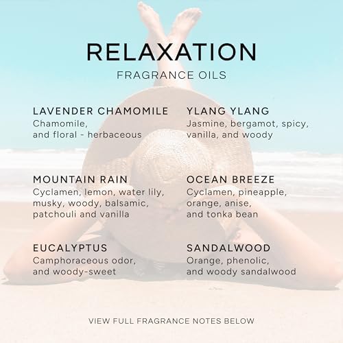 Eternal Essence Oils Relaxation Set of 6 Premium Fragrance Oils - Includes Lavender Chamomile, Ylang Ylang, Mountain Rain, Ocean Breeze, Eucalyptus, and Sandalwood Scented Oils - 10ML