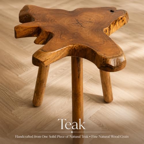 Teak Side Table, Live Edge End Table, Solid Wood Side Table for Living Room, Bedroom, Patio, Plant Stand, Tree Stump Style Natural Wood Accent Table