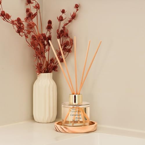 100ml Scent Diffuser with 6 Fiber Sticks, 3.5 oz Reed Diffuser Set Aromatherapy Fragrance Diffusers Air Fresheners for Home Bedroom Bathroom (Cantaloupe)