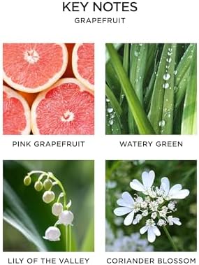 NEST New York Smart Home Fragrance Refill, Grapefruit