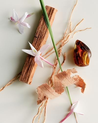 Maison Louis Marie No.04 Bois de Balincourt Sandalwood Reed Diffuser, 8 oz