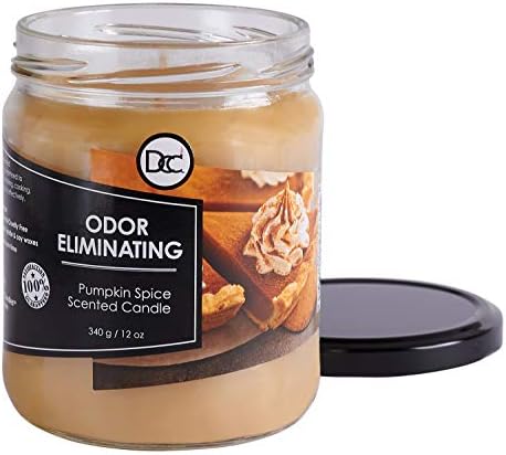 Pumpkin Spice Odor Eliminating Highly Fragranced Candle - Eliminates 95% of Pet, Smoke, Food, and Other Smells Quickly - Up to 80 Hour Burn time - 12 Ounce Premium Soy Blend