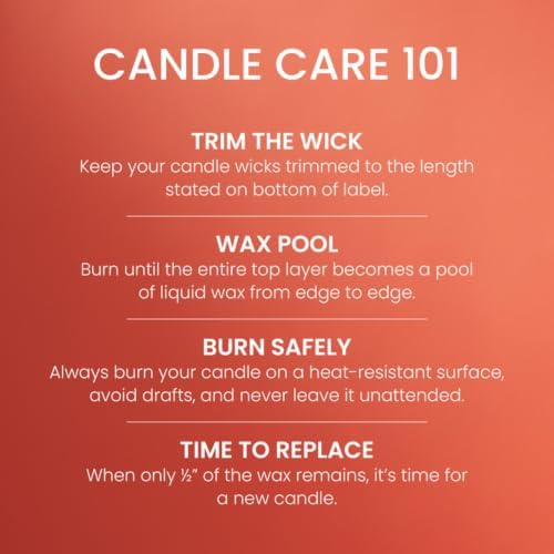 Yankee Candle Spiced Pumpkin Scented Candle, 14.5oz 3-Wick