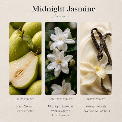 Scentiment Midnight Jasmine Diffuser Oil - Hotel Scent - 4.06 fl oz(120 mL)
