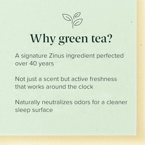 Zinus 10 Inch Twin XL Green Tea Memory Foam Mattress, Medium Firm Feel