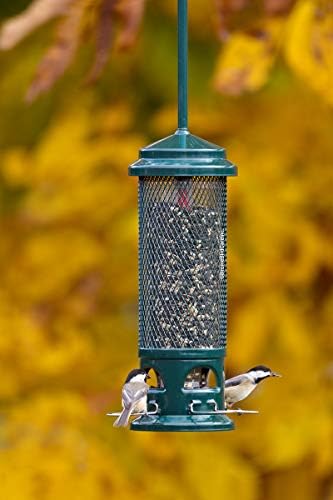 Squirrel Buster Legacy Truly Squirrel-Proof Bird Feeder
