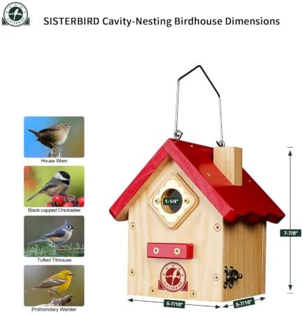 SISTERBIRD Wren Bird Houses for Outside, Red Hanging Wren House, Gifts