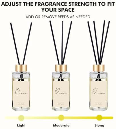 Reed Diffuser Set of 3, Eucalyptus, Linen, Ocean Oil Diffusers with Sticks