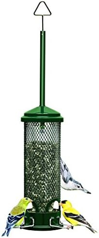 Squirrel Buster Mini Truly Squirrel-Proof Bird Feeder